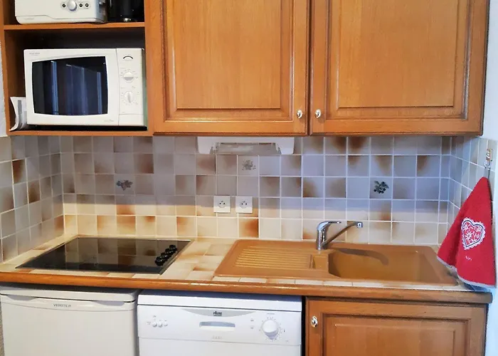 3 Pieces Pour 6 Personnes Proche Des Pistes - Fr-1-516-11 Les Deux Alpes